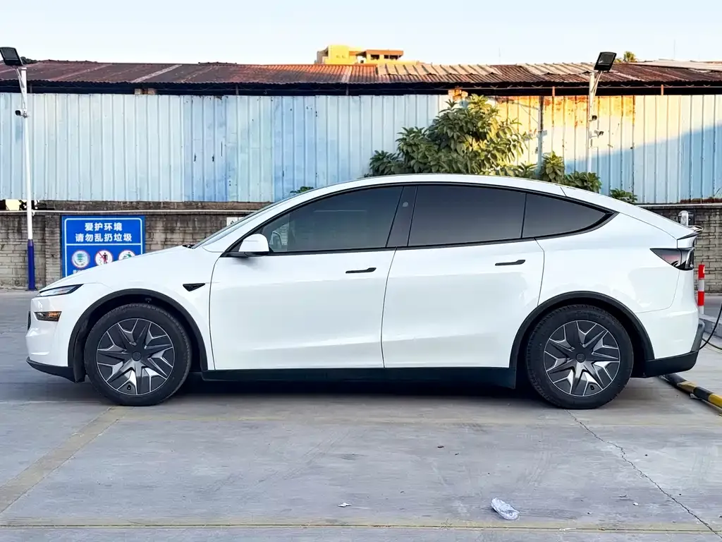 Tesla Model Y L 2025 из CN, фото 7