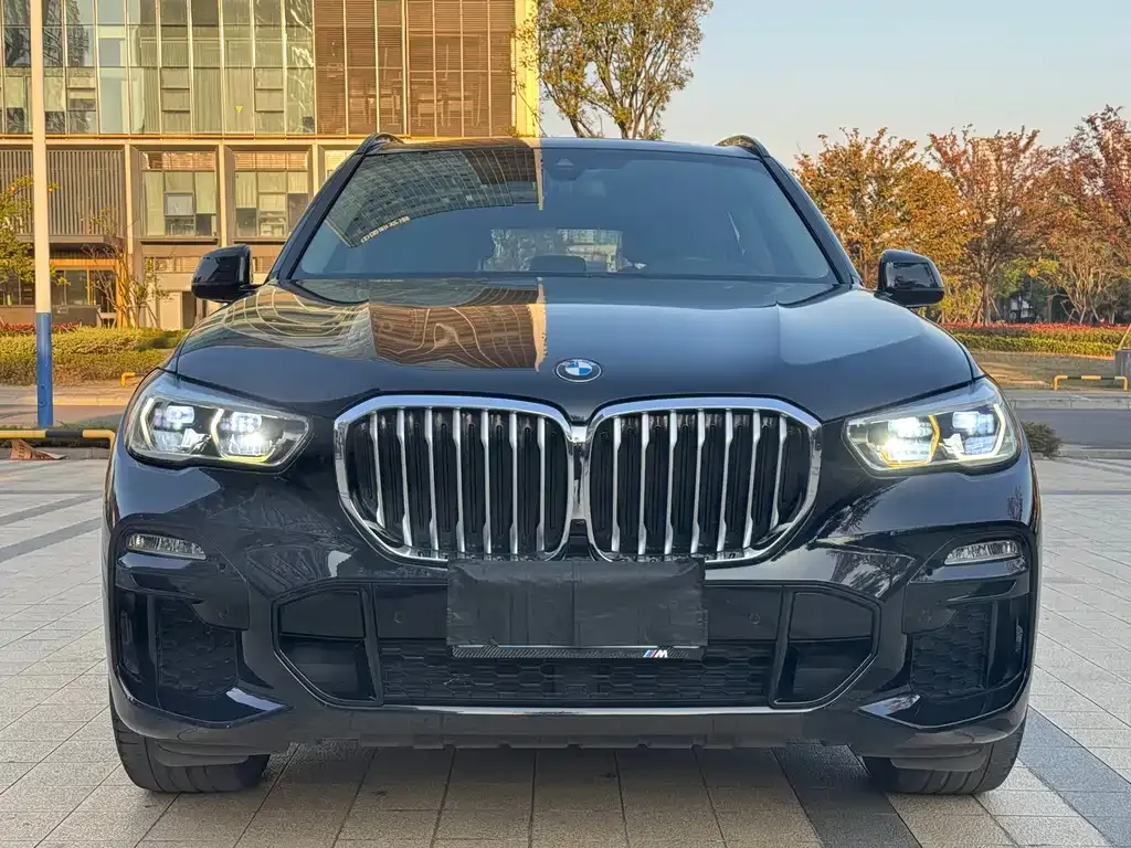 BMW X5 (Import) — фото 6