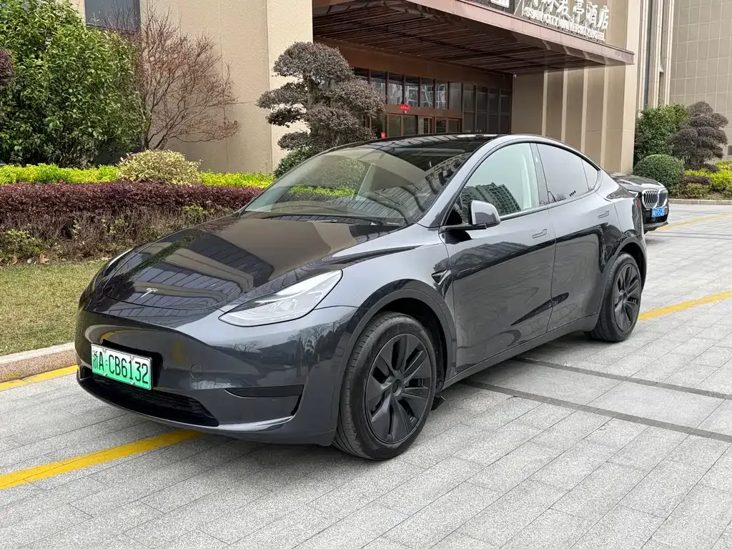 Tesla Model Y — фото 1