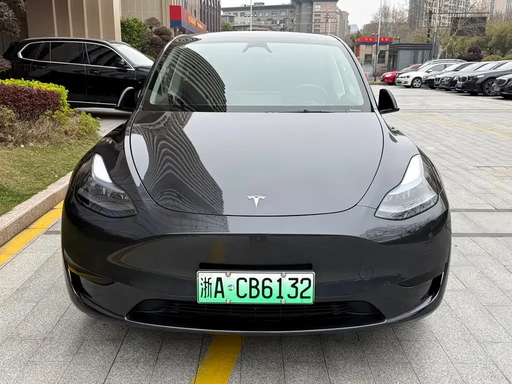 Tesla Model Y — фото 10