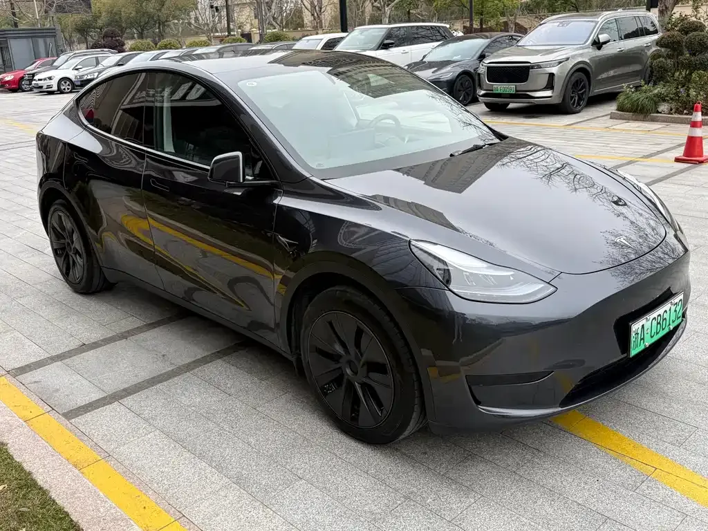 Tesla Model Y — фото 3