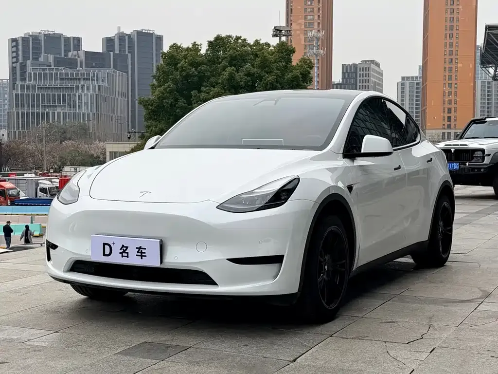 Tesla Model Y — фото 1