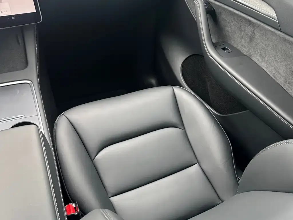 Tesla Model Y 2024 из CN, фото 4