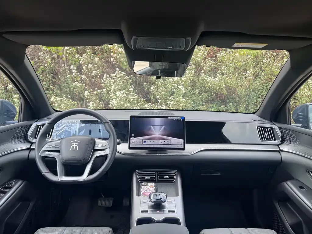BYD Pro New Energy — фото 2
