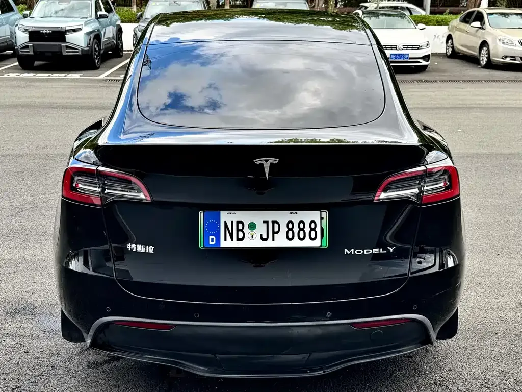 Tesla Model Y 2021 из CN, фото 9