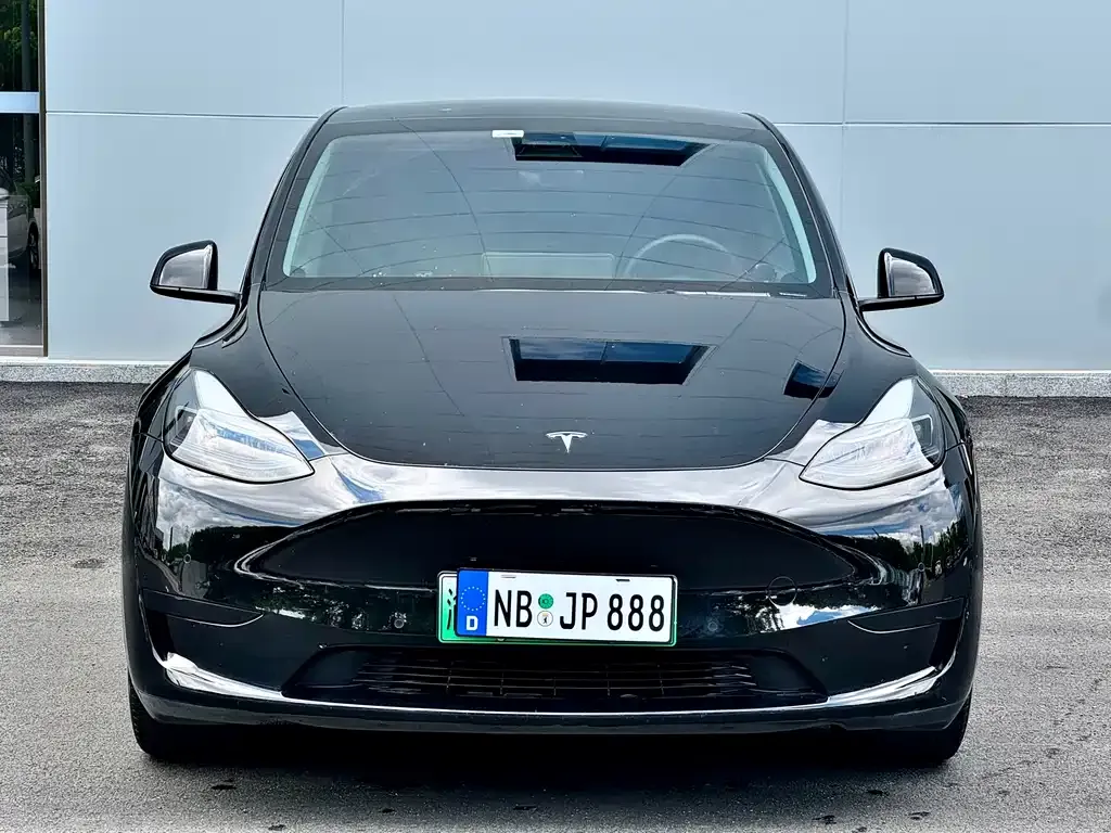 Tesla Model Y 2021 из CN, фото 10