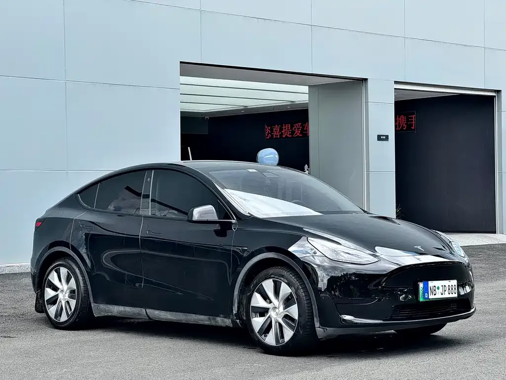 Tesla Model Y 2021 из CN, фото 3