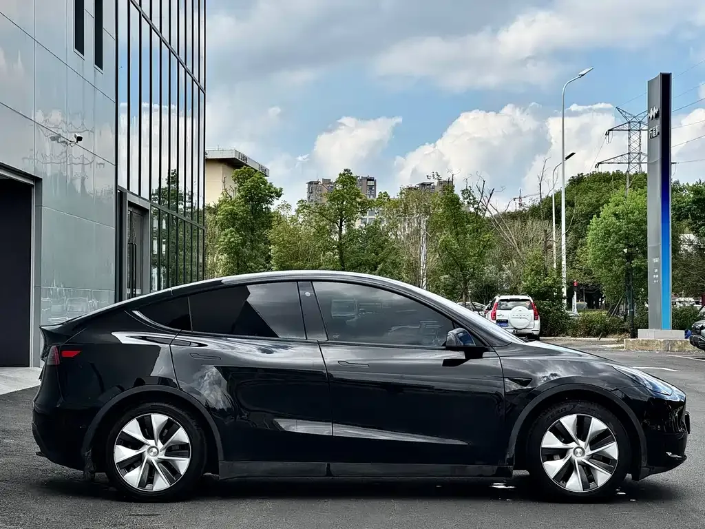 Tesla Model Y 2021 из CN, фото 6