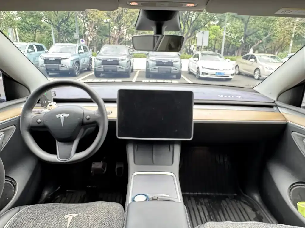 Tesla Model Y 2021 из CN, фото 5