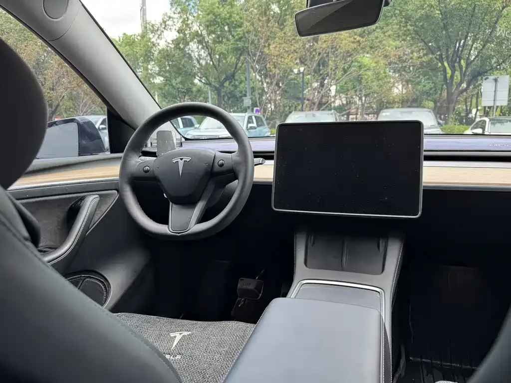 Tesla Model Y 2021 из CN, фото 2