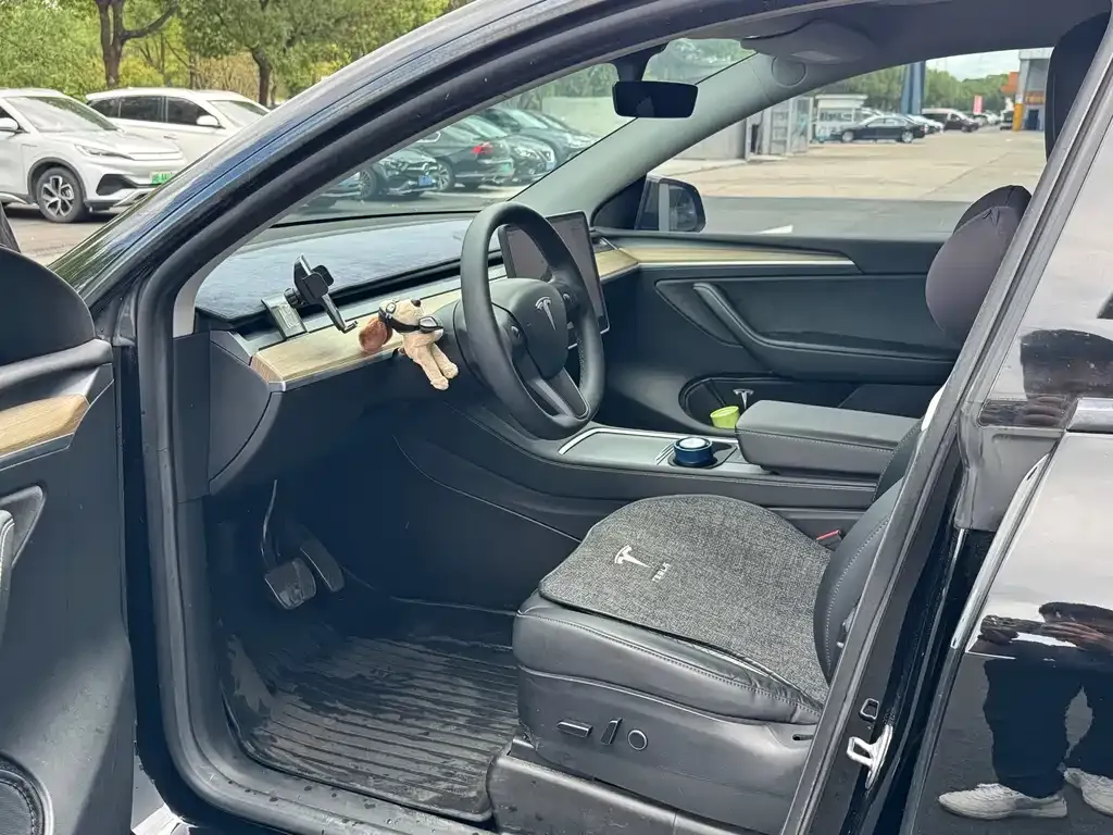 Tesla Model Y 2021 из CN, фото 4