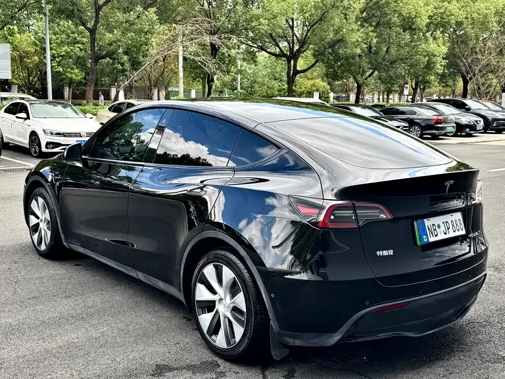 Tesla Model Y 2021 из CN, фото 8