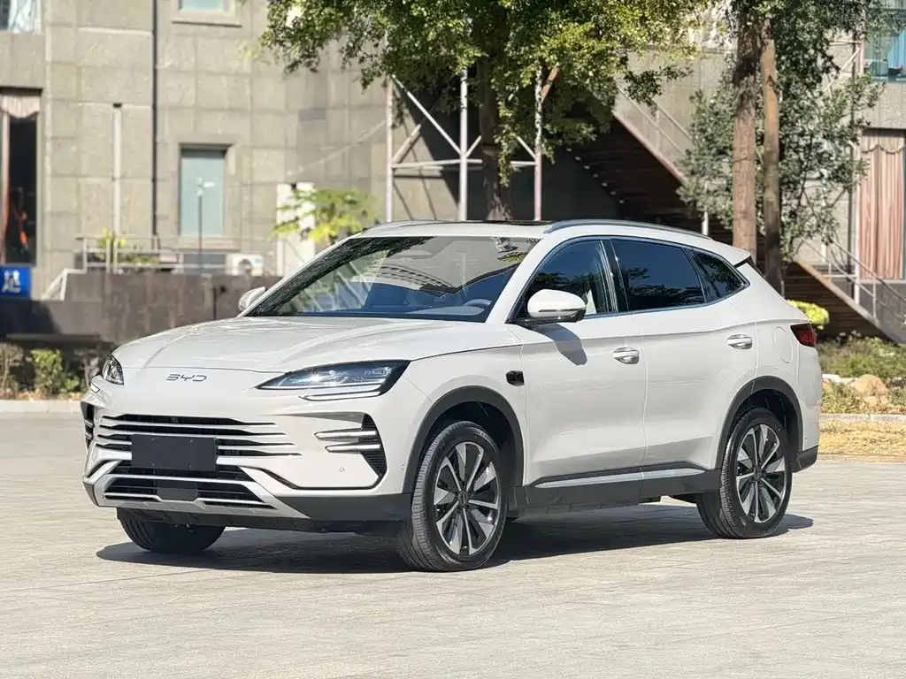BYD PLUS New Energy — фото 1