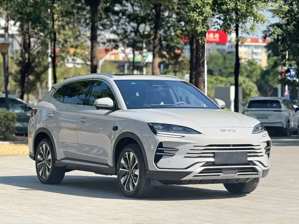 BYD PLUS New Energy — фото 6