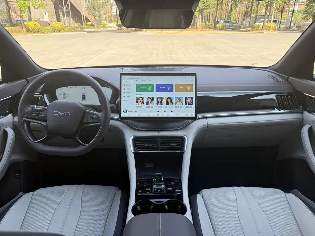 BYD PLUS New Energy — фото 10