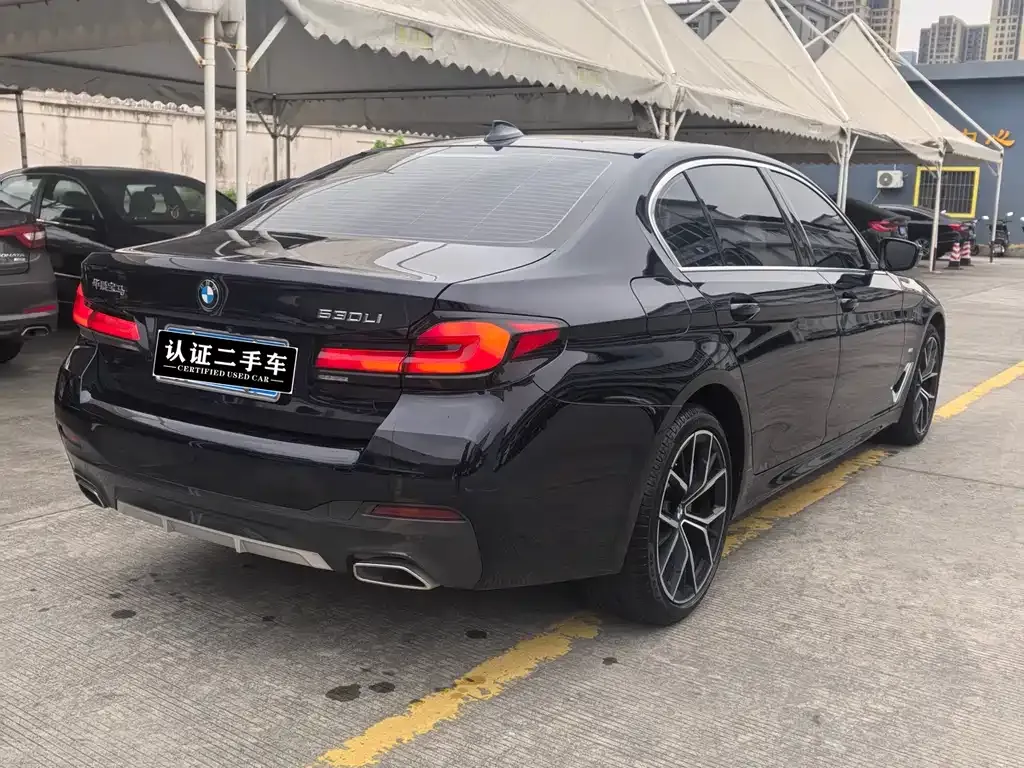 BMW 5 Series 2023 из CN, фото 5