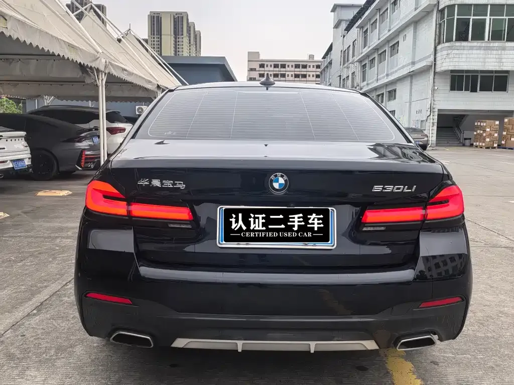 BMW 5 Series 2023 из CN, фото 6