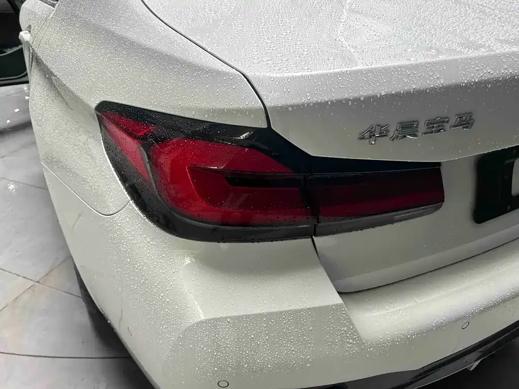 BMW 5 Series 2021 из CN, фото 7
