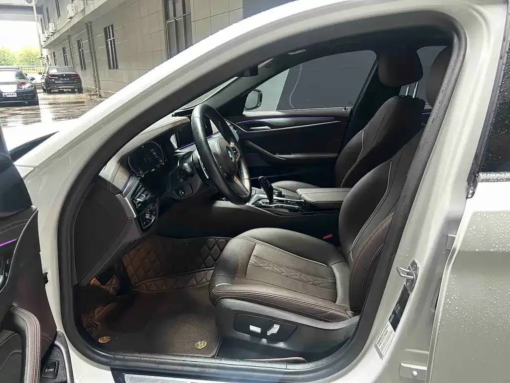 BMW 5 Series 2021 из CN, фото 8