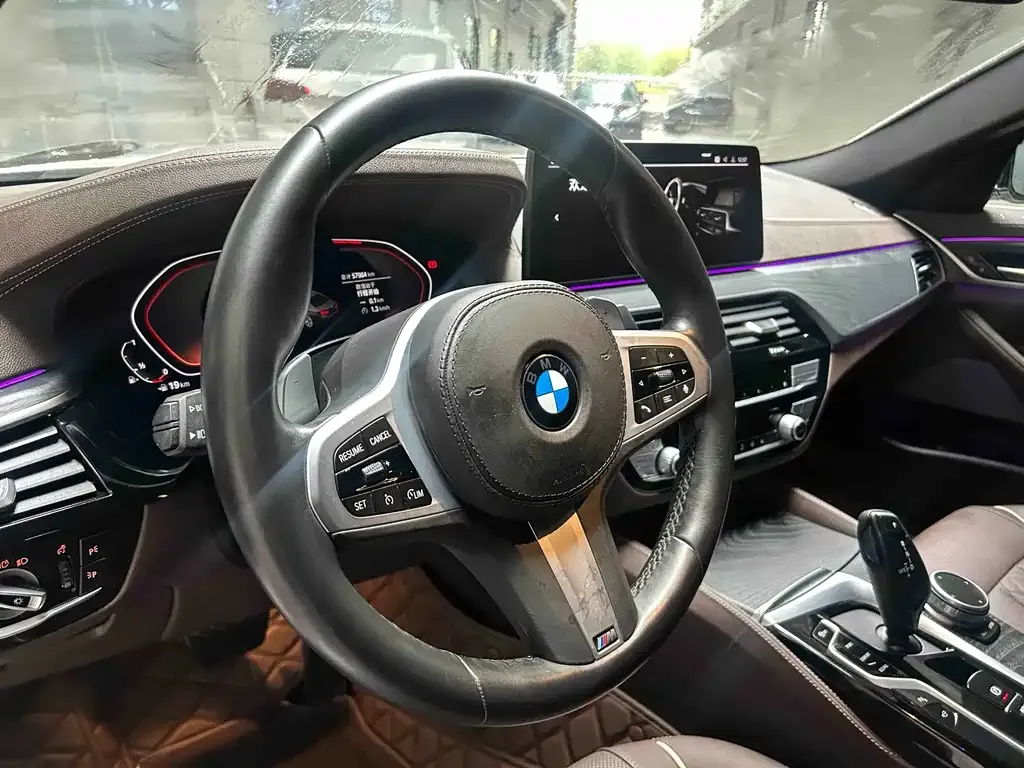 BMW 5 Series 2021 из CN, фото 6