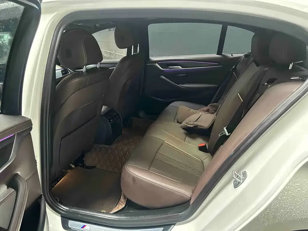 BMW 5 Series 2021 из CN, фото 3