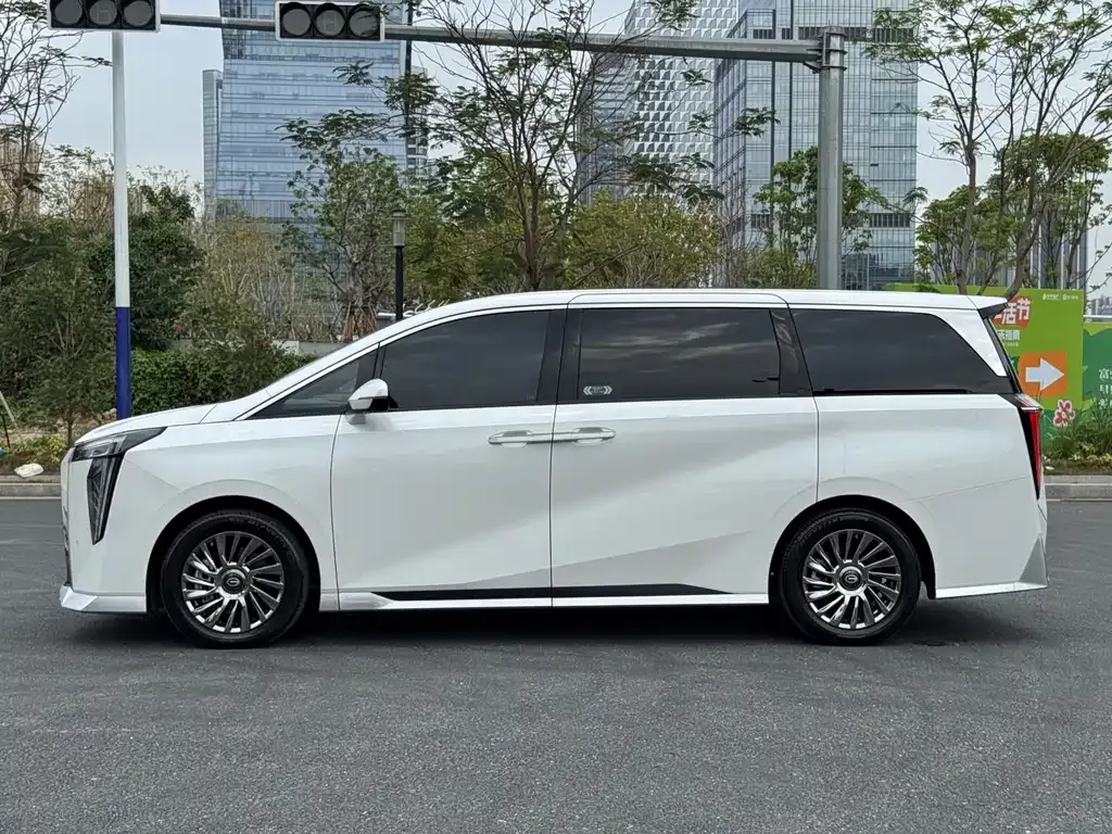 GAC Motor Trumpchi M8 2023 из CN, фото 8