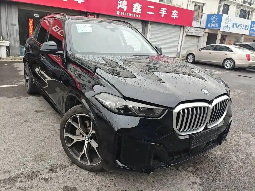 BMW X5 2025 из CN, фото 9