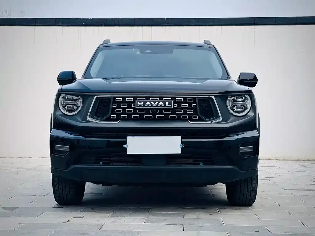 Haval H7 (Big Dog Plus) 2023 из CN, фото 4