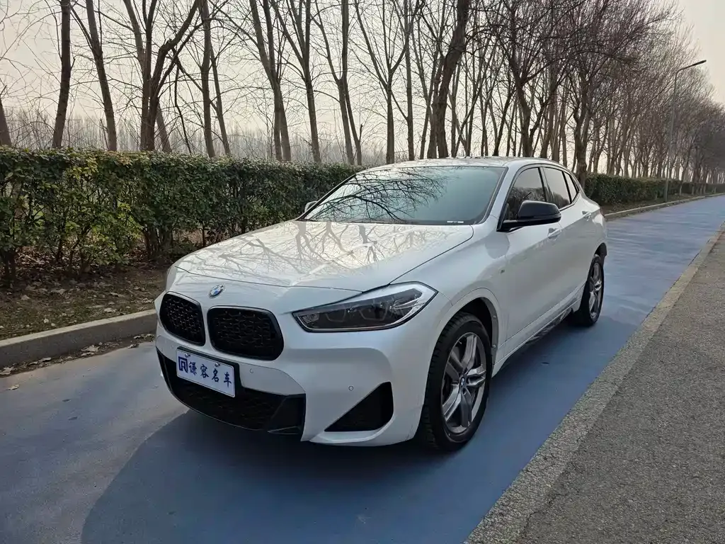 BMW X2 2023 из CN, фото 1