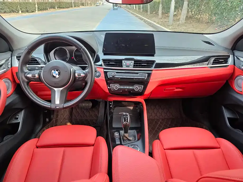 BMW X2 2023 из CN, фото 10