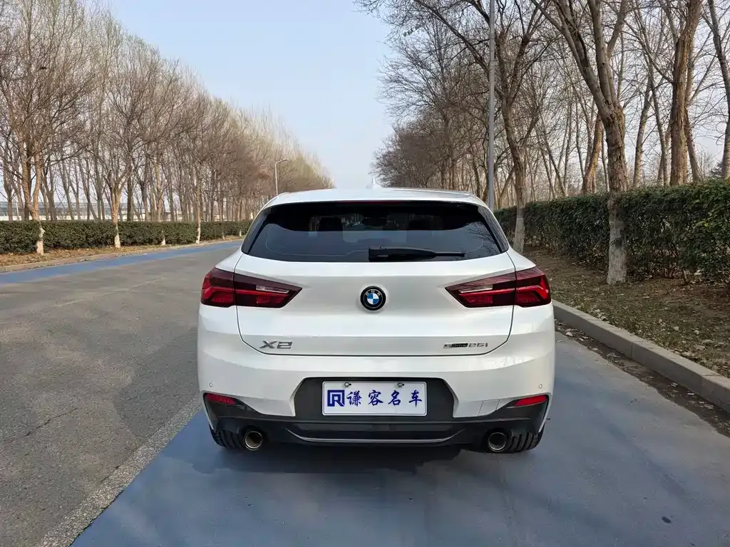 BMW X2 2023 из CN, фото 9