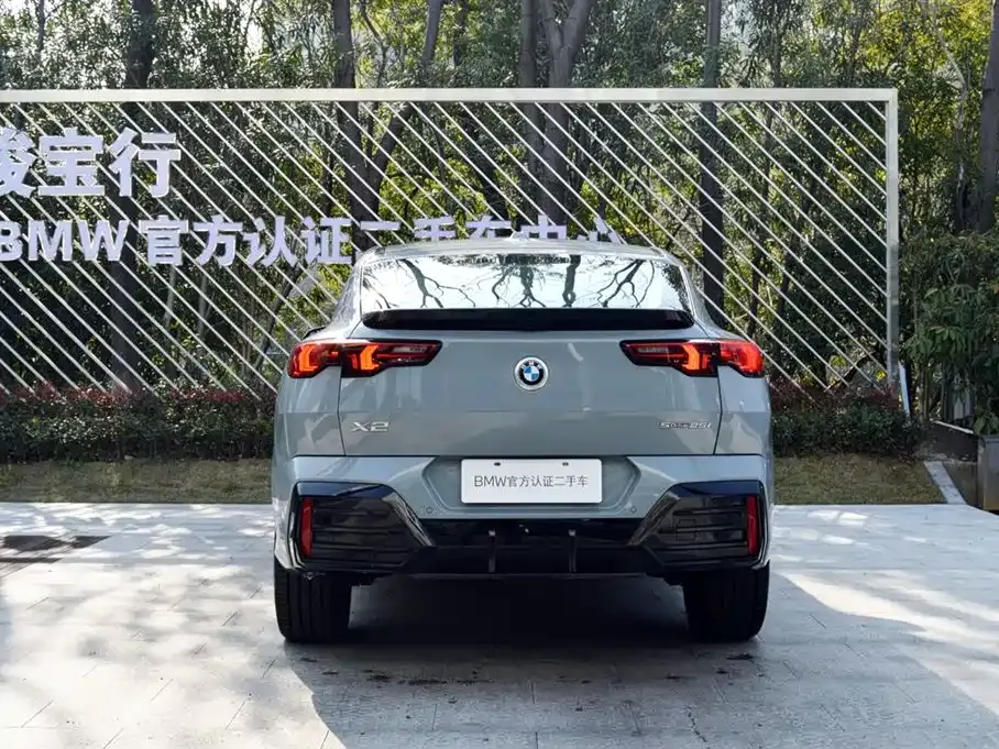 BMW X2 (Import) 2025 из CN, фото 10
