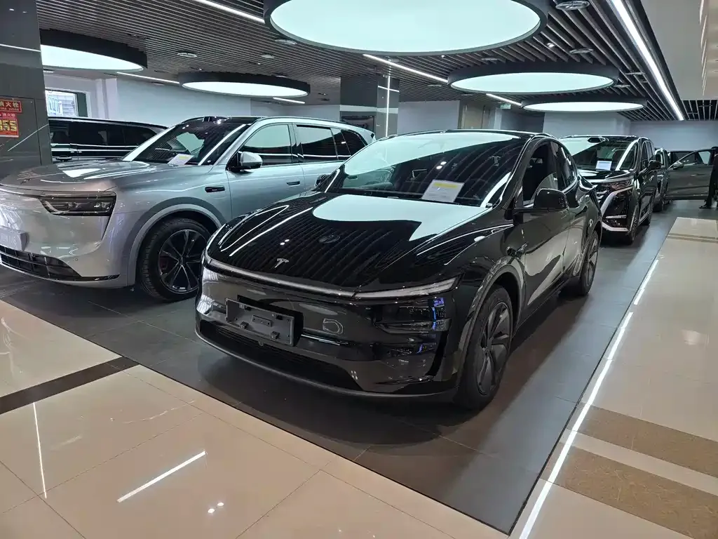 Tesla Model Y — фото 1