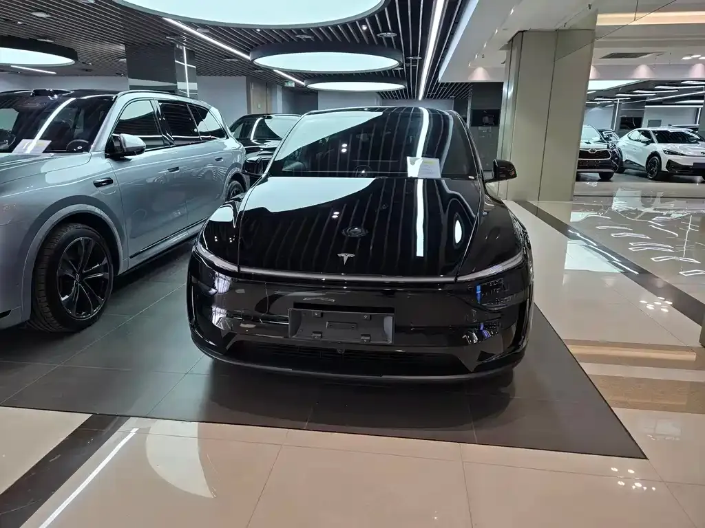 Tesla Model Y — фото 3