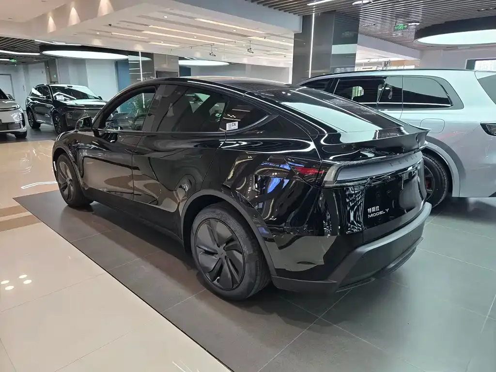 Tesla Model Y — фото 5