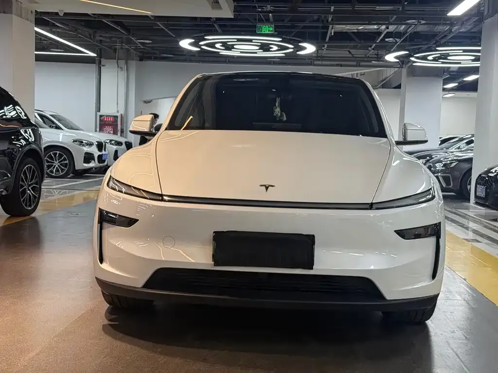 Tesla Model Y — фото 10