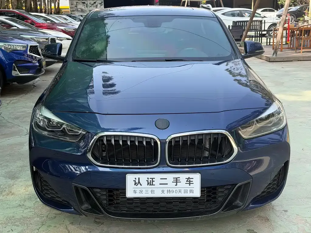 BMW X2 2021 из CN, фото 9