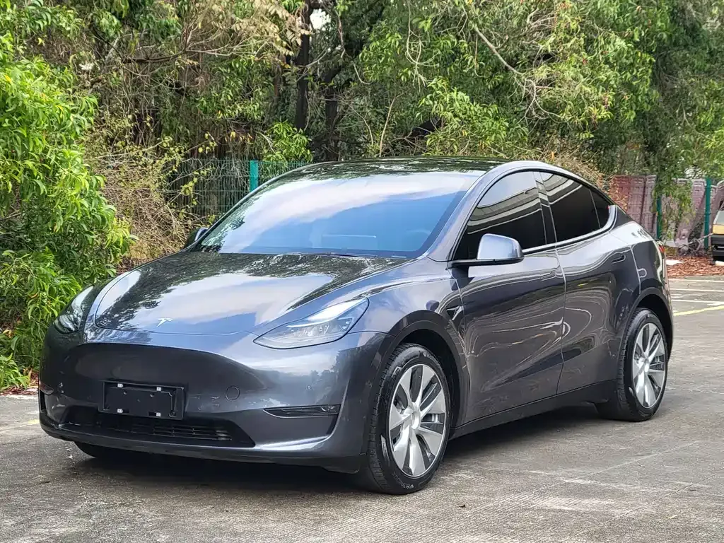 Tesla Model Y 2021 из CN, фото 1