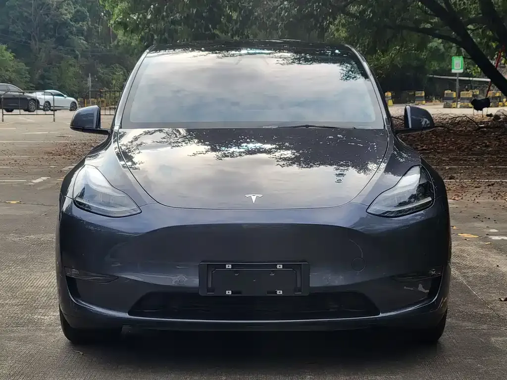 Tesla Model Y 2021 из CN, фото 2