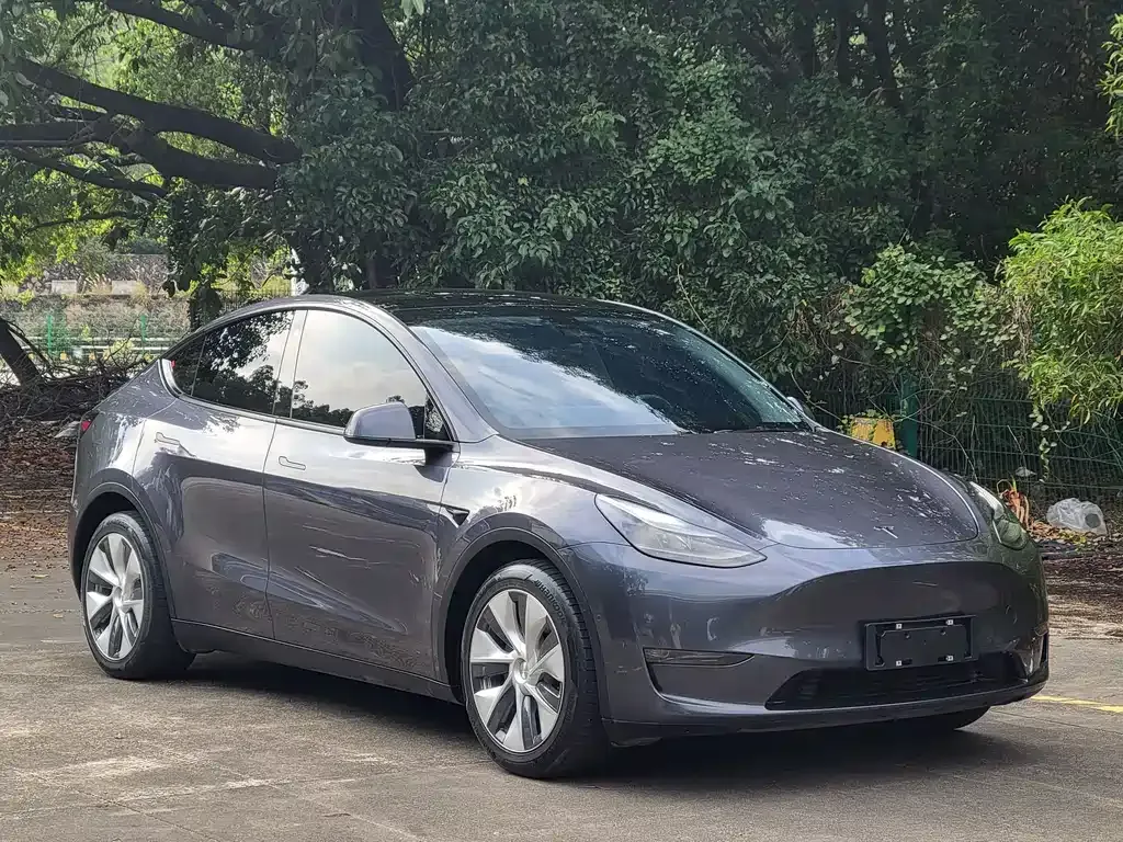 Tesla Model Y 2021 из CN, фото 10