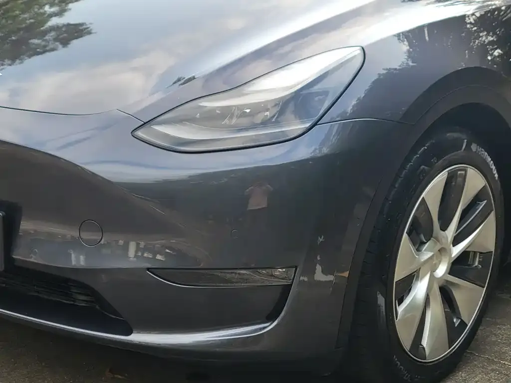 Tesla Model Y 2021 из CN, фото 3