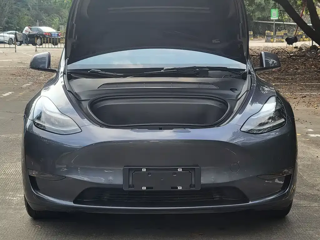 Tesla Model Y 2021 из CN, фото 7