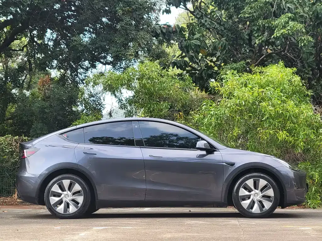 Tesla Model Y 2021 из CN, фото 5