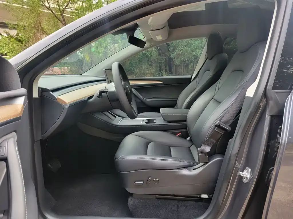 Tesla Model Y 2021 из CN, фото 9