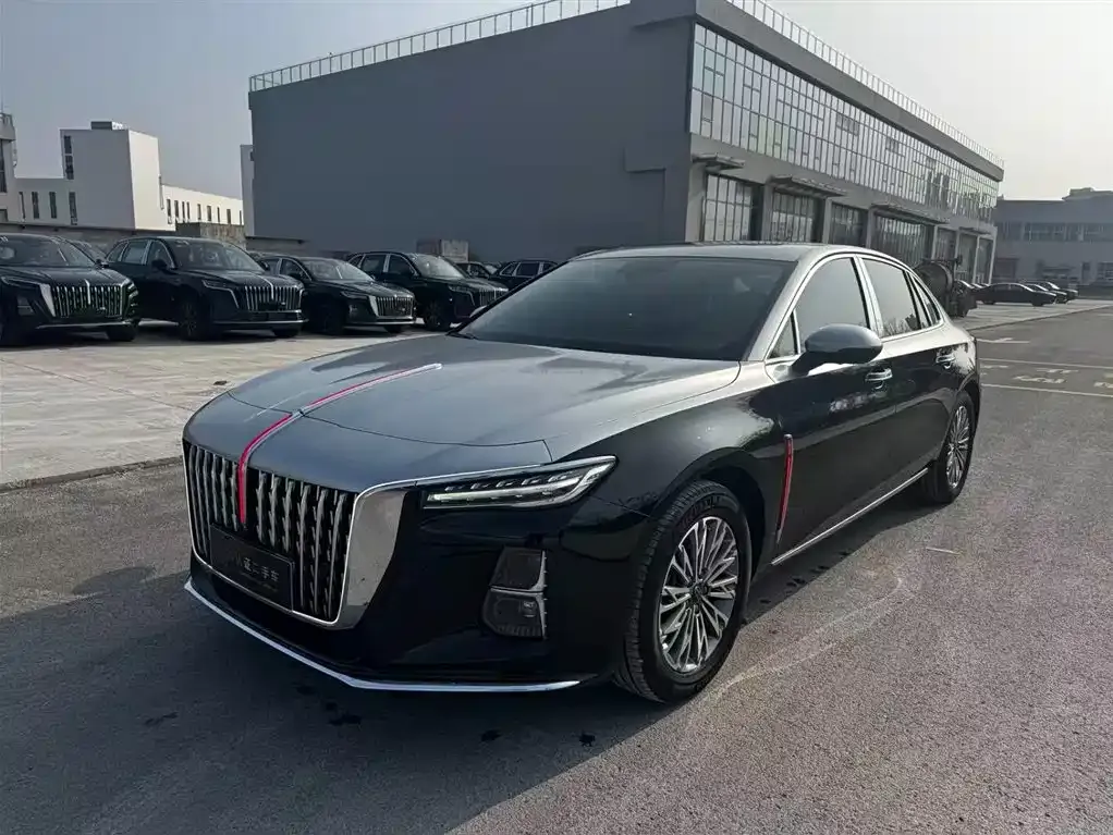 Hongqi H5 2024 из CN, фото 1