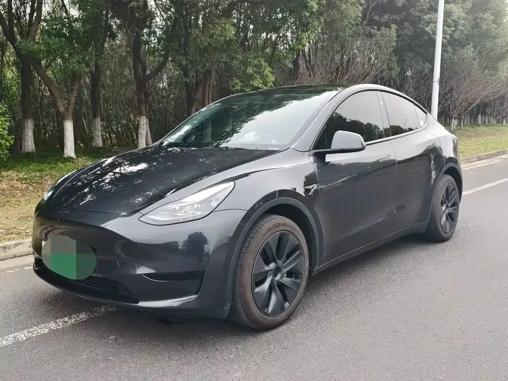 Tesla Model Y — фото 1