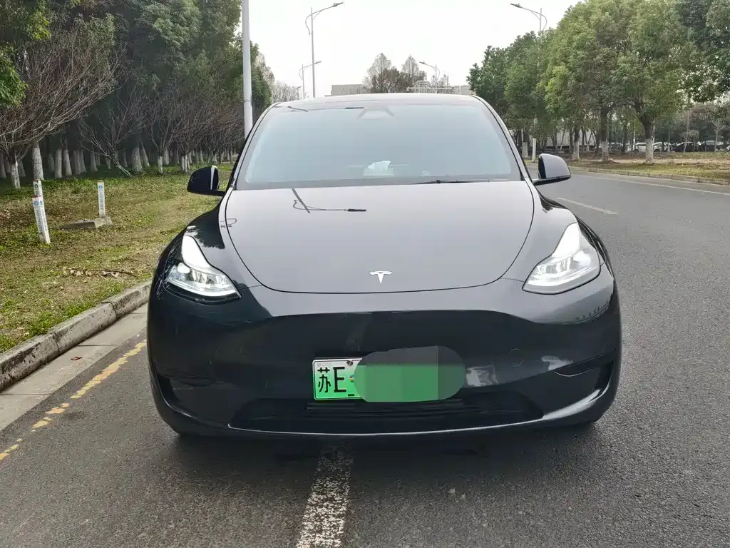 Tesla Model Y — фото 2