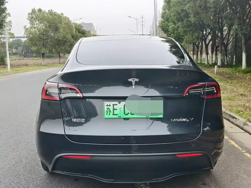 Tesla Model Y — фото 6