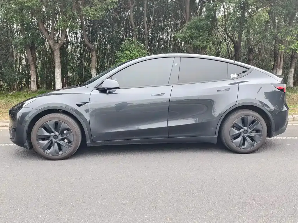 Tesla Model Y — фото 10