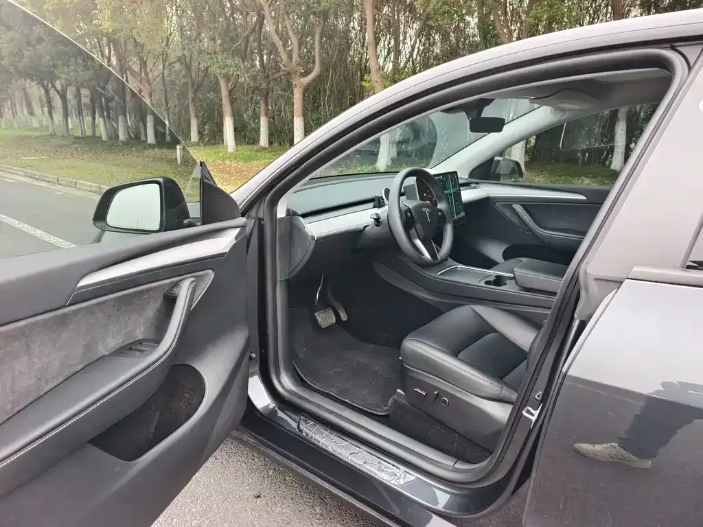 Tesla Model Y — фото 9